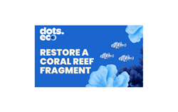 RESTORE A CORAL REEF FRAGMENT