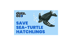 SAVE A SEA-TURTLE HATCHLING